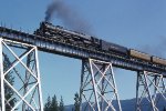 UP 3985 on the viaduct